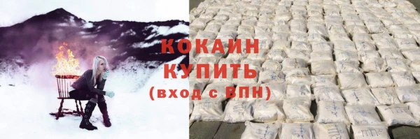 шишки Тутаев