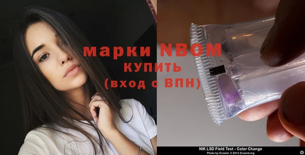 индика Волосово