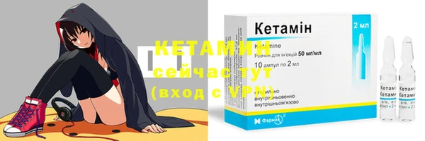 шишки Тутаев