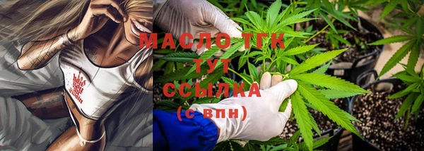 индика Волосово