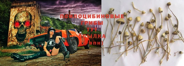 индика Волосово