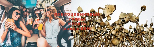 jwh Вяземский