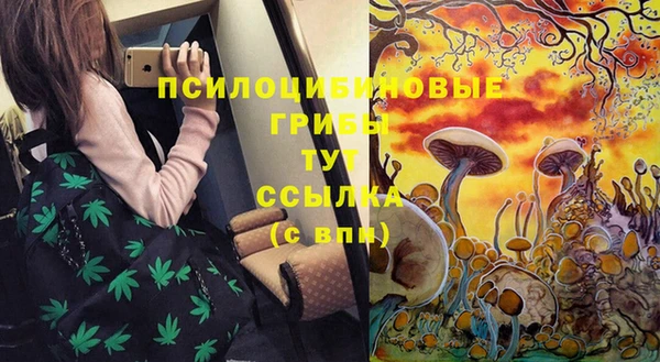spice Володарск