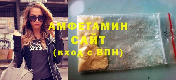 индика Волосово
