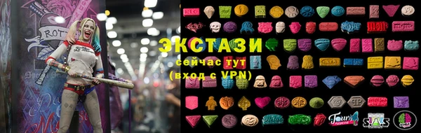 индика Волосово