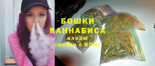 индика Волосово