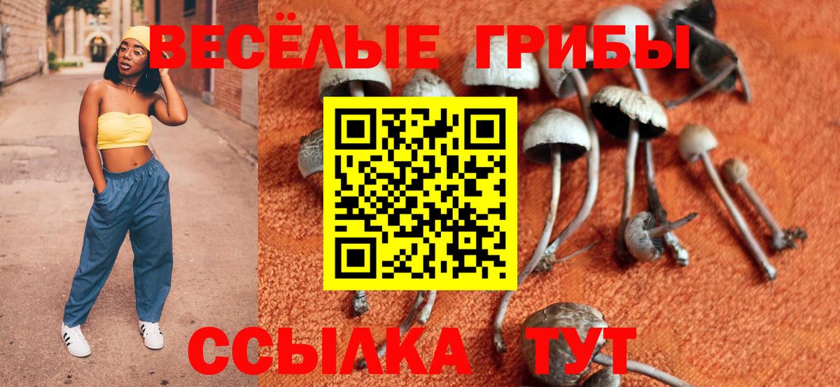 Псилоцибиновые грибы MAGIC MUSHROOMS  Вход с VPN  наркотики  Снежинск  Псилоцибиновые грибы MAGIC MUSHROOMS 